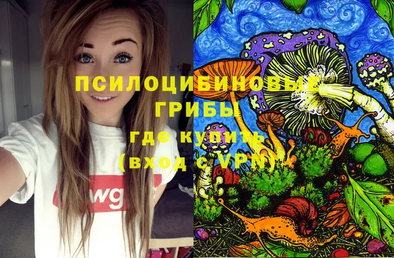 Галлюциногенные грибы Psilocybe  Воскресенск 